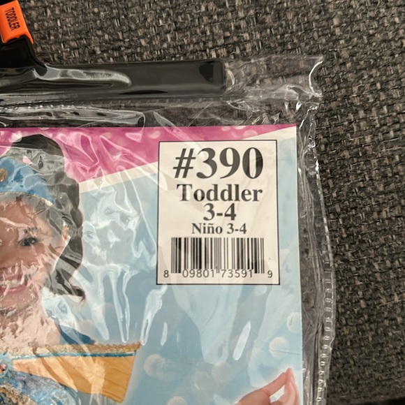 Princess Jasmine Disney Costume - Picture 2 of 3